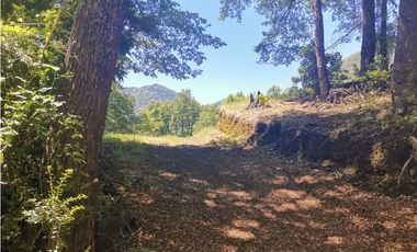 Country Las Peinetas