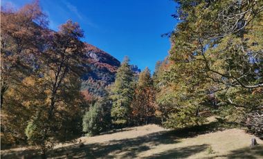 Country Las Peinetas
