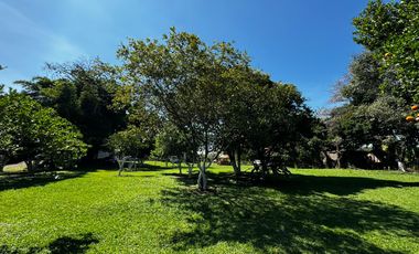 Lote Renta Vía Alcalá La Siria