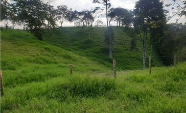 SE VENDE FINCA EN FILANDIA