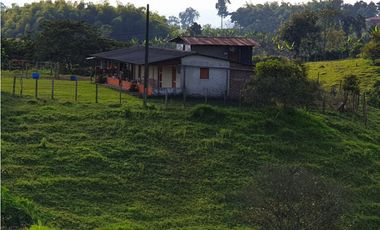 SE VENDE FINCA EN FILANDIA