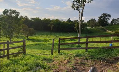 SE VENDE FINCA EN FILANDIA