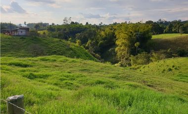 SE VENDE FINCA EN FILANDIA
