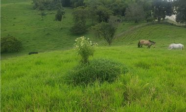 SE VENDE FINCA EN FILANDIA