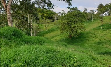 SE VENDE FINCA EN FILANDIA