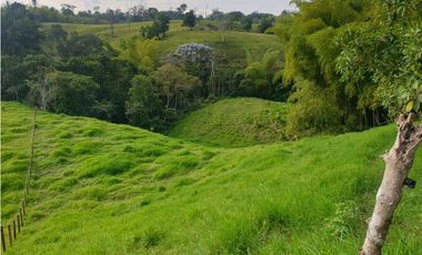 SE VENDE FINCA EN FILANDIA