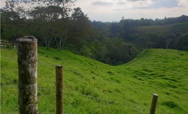 SE VENDE FINCA EN FILANDIA