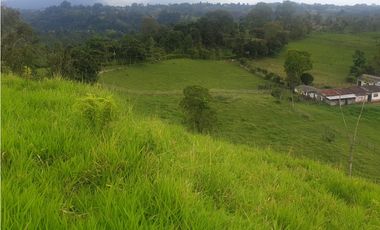SE VENDE FINCA EN FILANDIA