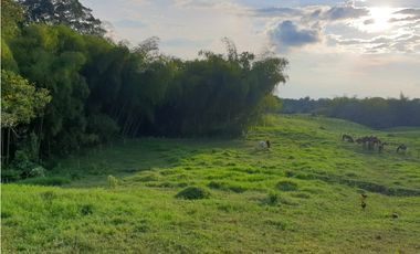 SE VENDE FINCA EN FILANDIA