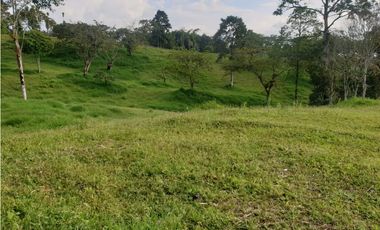 SE VENDE FINCA EN FILANDIA