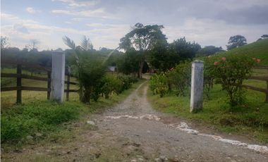 SE VENDE FINCA EN FILANDIA