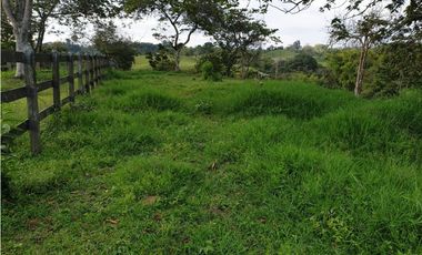 SE VENDE FINCA EN FILANDIA