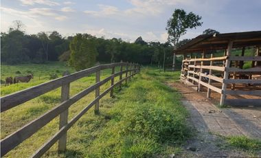 SE VENDE FINCA EN FILANDIA
