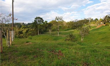 SE VENDE FINCA EN FILANDIA
