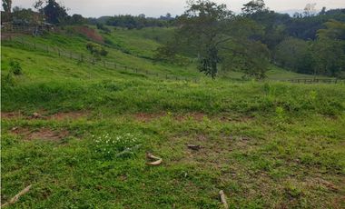 SE VENDE FINCA EN FILANDIA