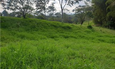 SE VENDE FINCA EN FILANDIA