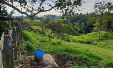 SE VENDE FINCA EN FILANDIA