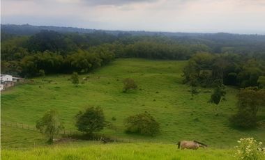 SE VENDE FINCA EN FILANDIA