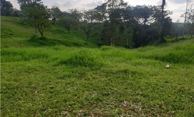 SE VENDE FINCA EN FILANDIA