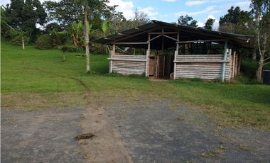 SE VENDE FINCA EN FILANDIA