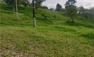 SE VENDE FINCA EN FILANDIA