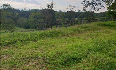 SE VENDE FINCA EN FILANDIA