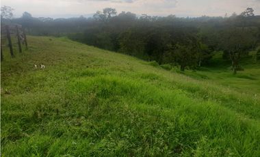 SE VENDE FINCA EN FILANDIA