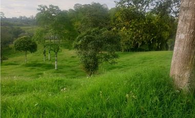 SE VENDE FINCA EN FILANDIA