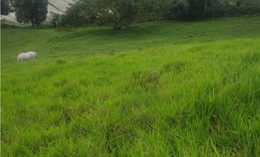 SE VENDE FINCA EN FILANDIA