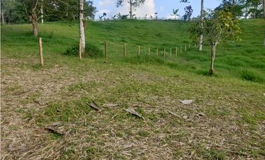 SE VENDE FINCA EN FILANDIA