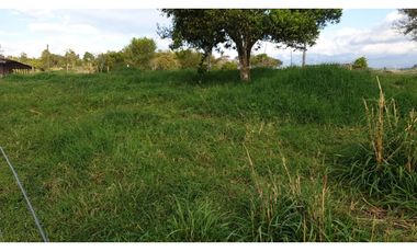 SE VENDE FINCA EN FILANDIA
