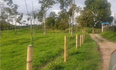 SE VENDE FINCA EN FILANDIA