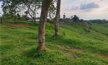 SE VENDE FINCA EN FILANDIA