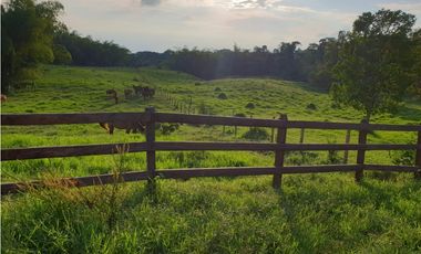 SE VENDE FINCA EN FILANDIA