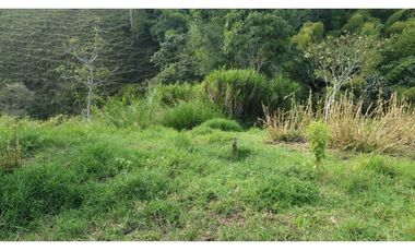 SE VENDE FINCA EN FILANDIA