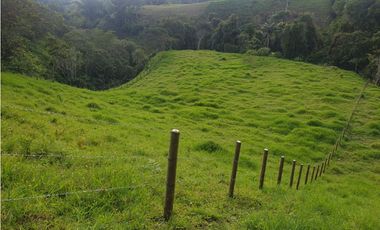 SE VENDE FINCA EN FILANDIA