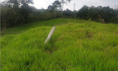 SE VENDE FINCA EN FILANDIA