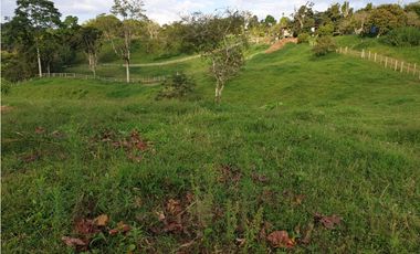 SE VENDE FINCA EN FILANDIA