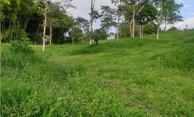 SE VENDE FINCA EN FILANDIA