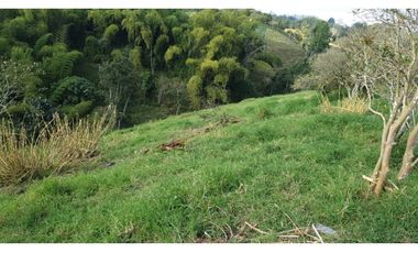 SE VENDE FINCA EN FILANDIA