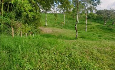 SE VENDE FINCA EN FILANDIA