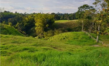 SE VENDE FINCA EN FILANDIA