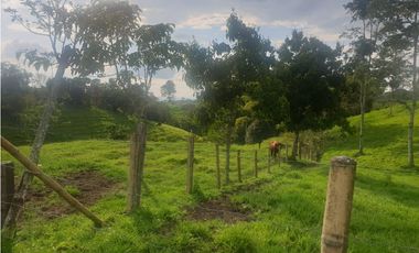 SE VENDE FINCA EN FILANDIA