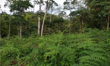 SE VENDE FINCA EN FILANDIA