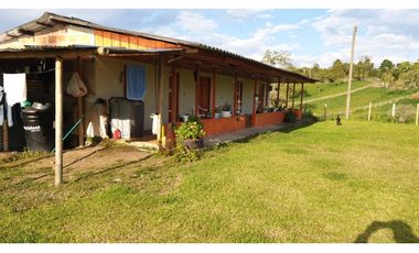 SE VENDE FINCA EN FILANDIA