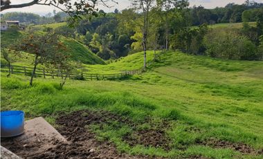 SE VENDE FINCA EN FILANDIA