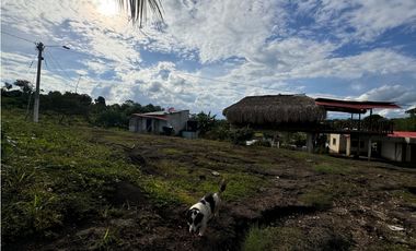 Finca Productiva en Venta Los Palmitos, Sucre: Ganadería y Cultivos