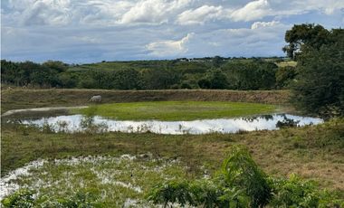 Finca Productiva en Venta Los Palmitos, Sucre: Ganadería y Cultivos
