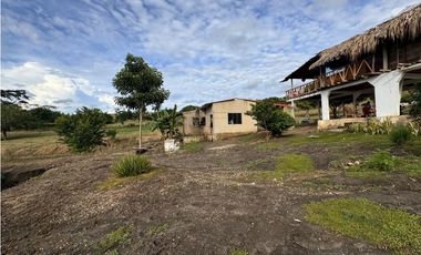 Finca Productiva en Venta Los Palmitos, Sucre: Ganadería y Cultivos