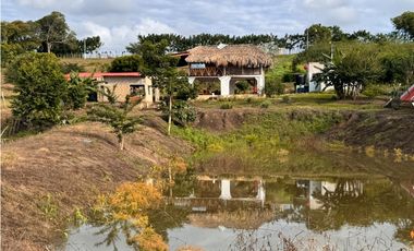 Finca Productiva en Venta Los Palmitos, Sucre: Ganadería y Cultivos